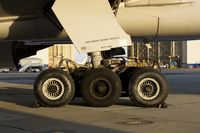 N778UA @ KSFO - SFO 2019. - by Clayton Eddy