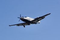 N56RJ @ KCCR - Buchanan Field Concord California 2019. - by Clayton Eddy