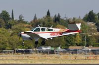N1530W @ KCCR - Buchanan Field Concord California 2019. - by Clayton Eddy