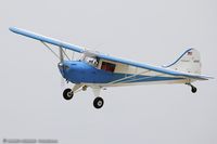 N95292 @ KOSH - Taylorcraft BC12-D  C/N 9692, N95292 - by Dariusz Jezewski www.FotoDj.com