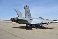 168489 @ KBOI - Now NE-110 from VFA-2 Bounty Hunters, NAS LeMoore, CA. - by Gerald Howard