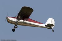 N1829V @ KOSH - Cessna 120 C/N 14047, N1829V - by Dariusz Jezewski www.FotoDj.com