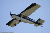 N240BP @ KOSH - Bearhawk Patrol  C/N P240, N240BP