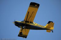 N394RL @ KOSH - American Champion 8KCAB Decathlon  C/N 588-2017 , N394RL - by Dariusz Jezewski www.FotoDj.com