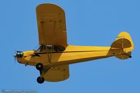 N70561 @ KOSH - Piper J3C-65 Cub  C/N 17570, NC70561