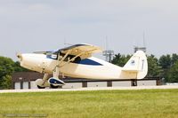 N295Y @ KOSH - Fairchild 24W-41A  C/N W40-102, NC295Y