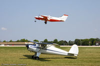 N71836 @ KOSH - Luscombe 8A Luscome Master  C/N 3263, N71836
