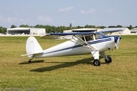 N71836 @ KOSH - Luscombe 8A Luscome Master  C/N 3263, N71836