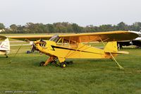 N33453 @ KOSH - Piper J3F-65 Cub  C/N 5962, NC33453 - by Dariusz Jezewski www.FotoDj.com