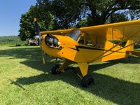 N85643 @ 0OH5 - Clipped Wing Cuby @ Freeman Swank Airfield. - by teq101