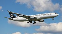 D-AIGP @ KTPA - TPA spotting - by Florida Metal