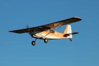 N8721V @ FD04 - Bellanca 7GCBC - by Mark Pasqualino