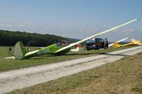 OE-0396 @ EDST - Built by Oberlerchner.   At Hahnweide 2013.