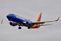 N8662F @ KBOI - Landing 28R.