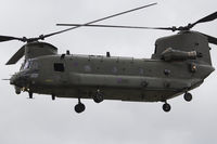 ZA708 photo, click to enlarge