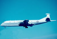 XV242 photo, click to enlarge XV242 photo, click to enlarge