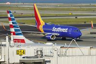 N7828A @ KSFO - Sky Terrace SFO 2020. - by Clayton Eddy
