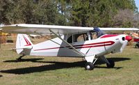 N700PA @ 5FL7 - Piper PA-12 - by Mark Pasqualino