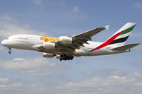 A6-EEA photo, click to enlarge