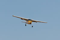 C-GHBG @ CYXX - Landing - by Guy Pambrun