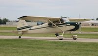 N1736D @ KOSH - Cessna 170A - by Florida Metal
