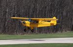 N13LE @ C77 - Piper J3C-65 - by Mark Pasqualino