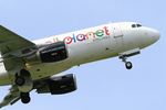 LY-ONL photo, click to enlarge