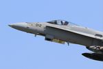 J-5012 @ LFRJ - McDonnell Douglas FA-18C Hornet, Take off rwy 08, Landivisiau Naval Air Base (LFRJ) Tiger Meet 2017 - by Yves-Q