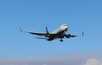 N182DN @ KLAX - LAX 2018 - by Florida Metal
