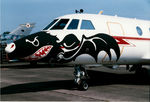 F-UKJA - special markings for the 1998 Luxeuil AB airshow - by olivier Cortot