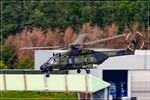 79 31 @ EDDR - NHI NH-90 TTH Caiman - by Jerzy Maciaszek
