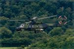 79 31 @ EDDR - NHI NH-90 TTH Caiman - by Jerzy Maciaszek