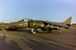 ZD438 @ EGVA - At RIAT 1993, scanned from negative. - by kenvidkid