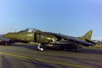 ZG471 @ EGVA - At RIAT 1993, scanned from negative. - by kenvidkid