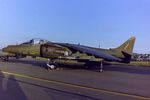 ZG533 @ EGVA - At RIAT 1993, scanned from negative. - by kenvidkid