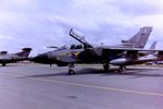 ZE116 @ EGVA - At RIAT 1993, scanned from negative. - by kenvidkid