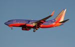 N275WN @ KTPA - TPA 2014 - by Florida Metal