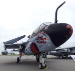 163033 - Grumman EA-6B Prowler at the Hickory Aviation Museum, Hickory NC - by Ingo Warnecke
