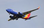 N433LV @ KTPA - TPA 2018 - by Florida Metal