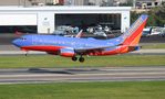N446WN @ KTPA - TPA 2018 - by Florida Metal