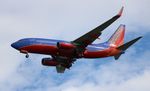N488WN @ KTPA - TPA 2016 - by Florida Metal