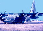 XV186 photo, click to enlarge XV186 photo, click to enlarge