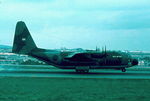 XV199 photo, click to enlarge XV199 photo, click to enlarge
