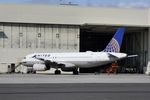 N463UA @ KSFO - SFO 2020. - by Clayton Eddy