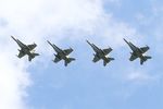 J-5011 @ LFRJ - McDonnell Douglas FA-18C Hornet, Flight over Landivisiau Naval Air Base (LFRJ) Tiger Meet 2017 - by Yves-Q