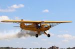 N31175 @ C77 - Piper J3F-65 - by Mark Pasqualino