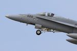 J-5020 @ LFRJ - McDonnell Douglas FA-18C Hornet, Take off rwy 26, Landivisiau Naval Air Base (LFRJ) Tiger Meet 2017 - by Yves-Q
