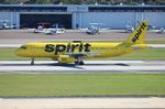 N606NK @ KTPA - TPA 2020 - by Florida Metal
