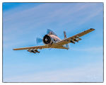 N28YF @ KPAE - KPAE - by Terry Green