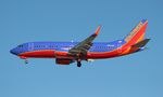 N637SW @ KTPA - TPA 2014 - by Florida Metal